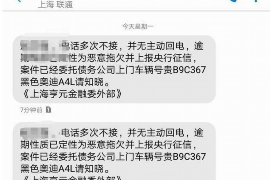 新华为什么选择专业追讨公司来处理您的债务纠纷？